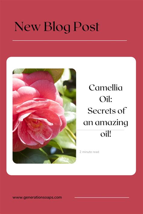 The Power of Cmaellia Black Magix: Transform Your Beauty Regimen